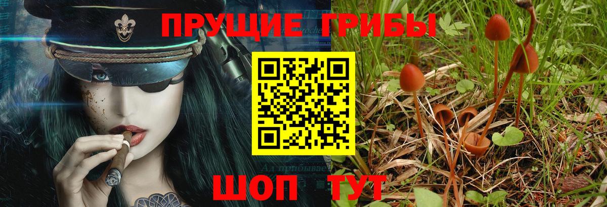 Псилоцибиновые грибы прущие грибы  Галлюциногенные грибы Magic Shrooms  Вход с VPN  Кудымкар 