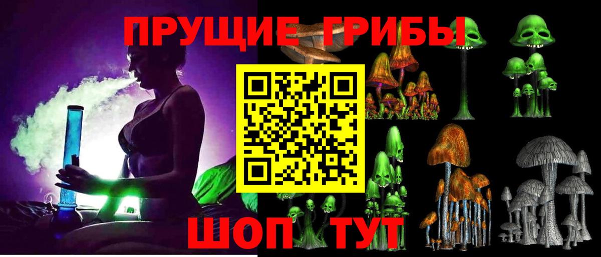 Псилоцибиновые грибы GOLDEN TEACHER Кудымкар